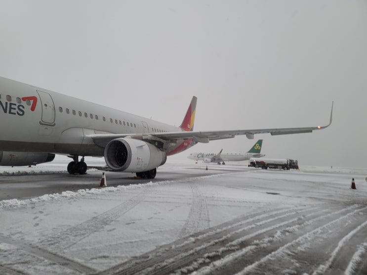 아수라장 <b>제주공항</b> 폭설 <b>결항</b>... 좋은 <b>제주</b> 용담기사식당 정식