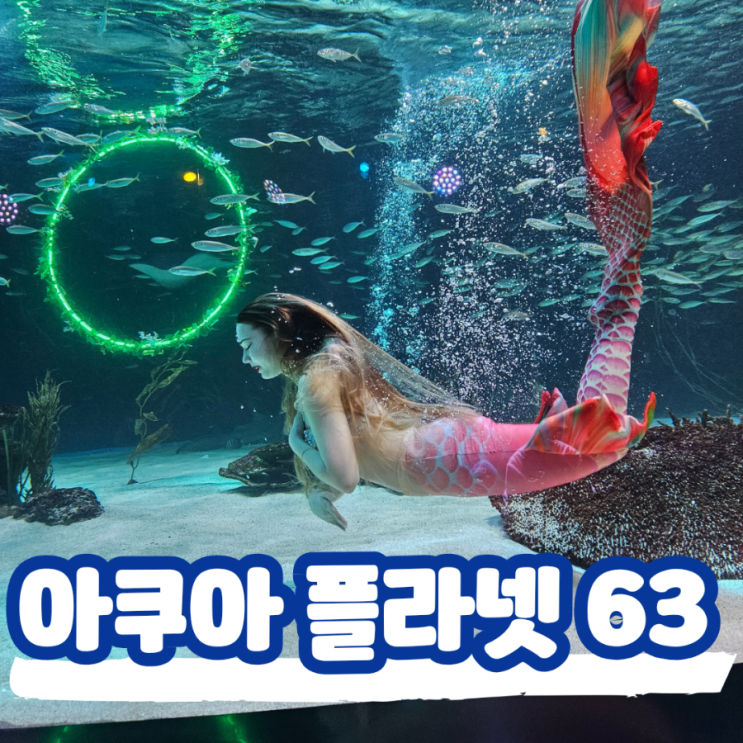  63빌딩 아쿠아리움, 아쿠아플라넷 63에서 인어공주 가오리쇼 관람