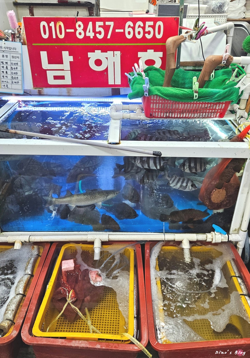 남해호 사진 5