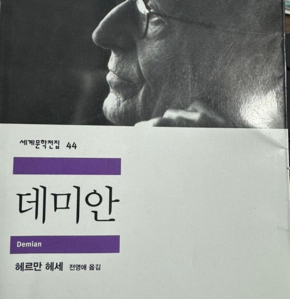 [서평] 부정할 수 없는 내 인생 책, 헤르만헤세 - 데미안