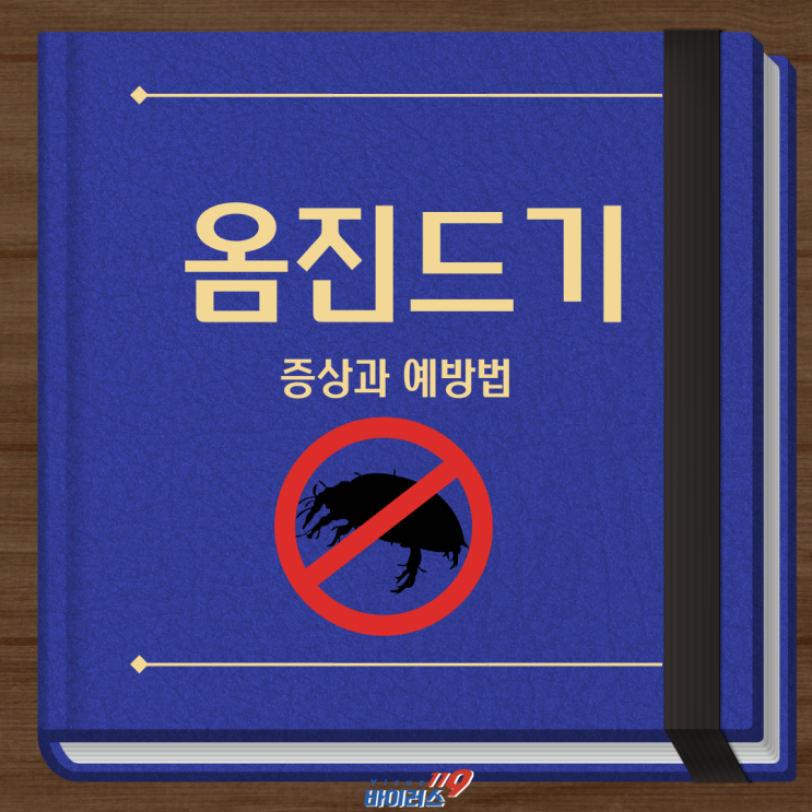  옴진드기 감염되면 나타나는 증상과 이를 예방하는 방법