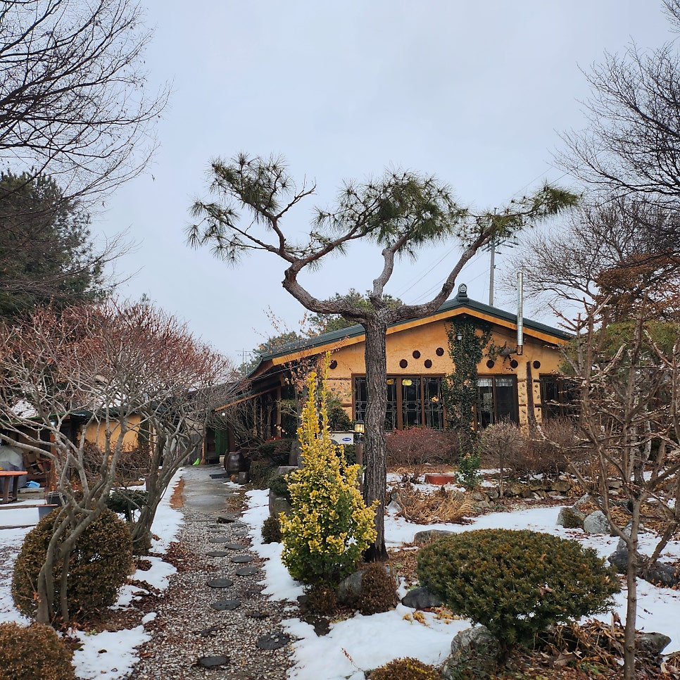 민&들레 사진 2