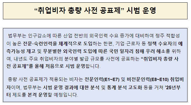 “취업비자 총량 사전 공표제” 시범 운영 “취업비자 총량 사전 공표제” 시범 운영