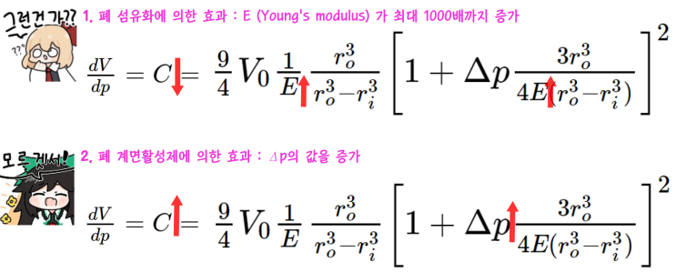  폐포에 대한 계면활성제와 섬유화의 작용