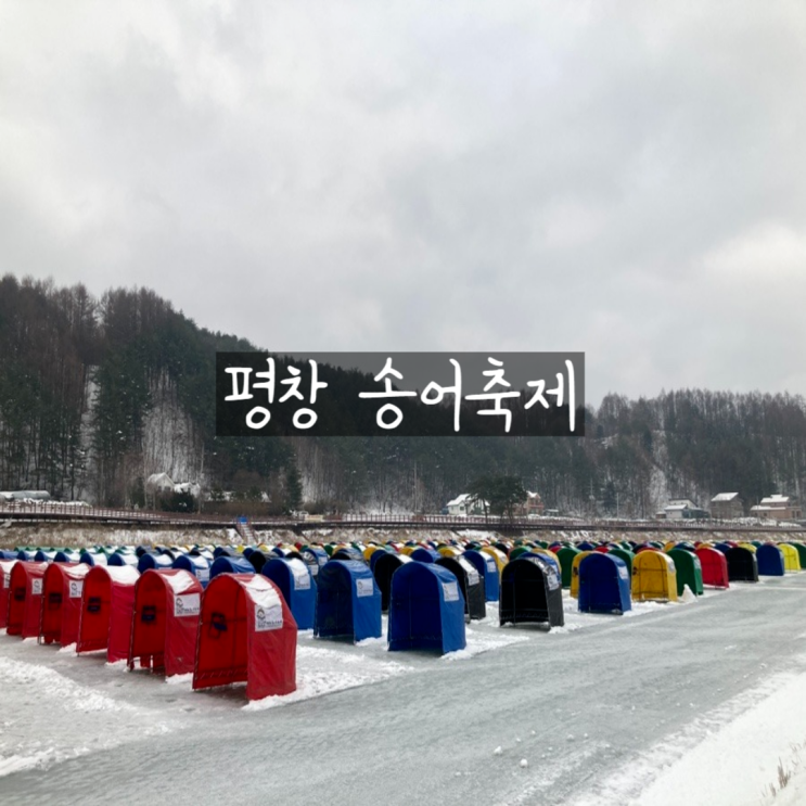  강원도 겨울 여행 평창 송어축제 얼음 낚시 꿀팁 즐길거리 먹거리 주차장 기본정보