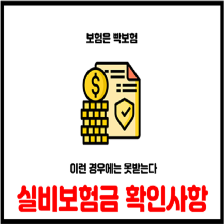  실손 실비보험 민원사례로 보험금 제대로 받자