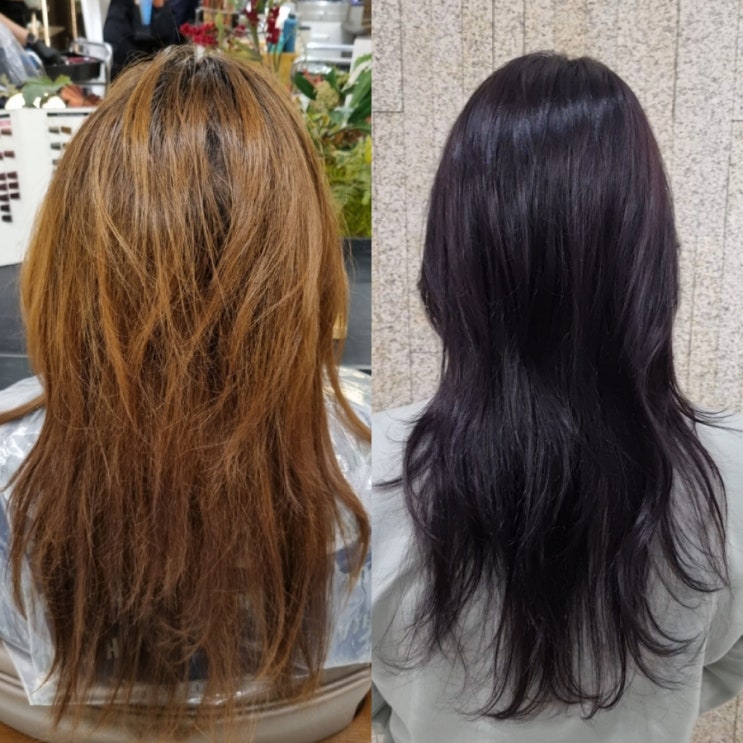  관악구미용실 톤다운염색 준오헤어 서울대입구역점