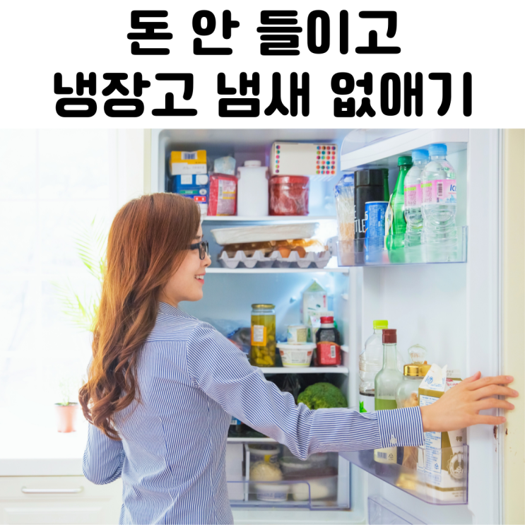 냉장고 김치 냄새 제거법과 유의점