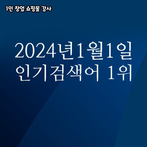 2024년 1월 1일 네이버쇼핑 분야별 인기 검색어 1위
