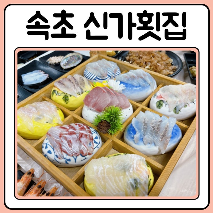  속초 물회 회포장 맛집 신가횟집
