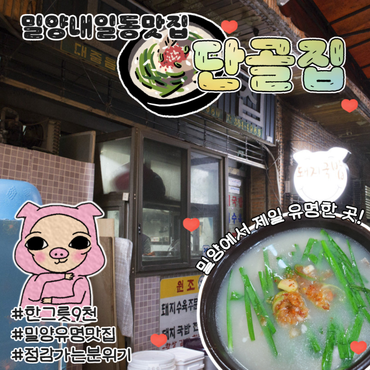  밀양 내일동 단골집 맛집 시장안  국밥 현지인 추천