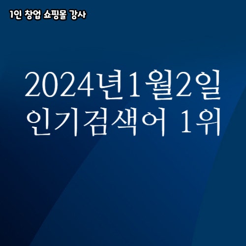 2024년 1월 2일 네이버쇼핑 분야별 인기 검색어 1위