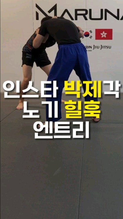  노기 주짓수 힐훅 다이빙 엔트리 (라이언 홀 vs 비제이 펜)