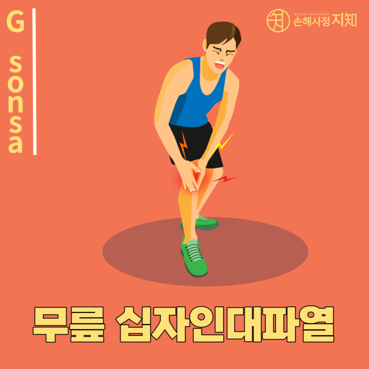  [아이 질병] 2. 무릎 전방십자인대 파열