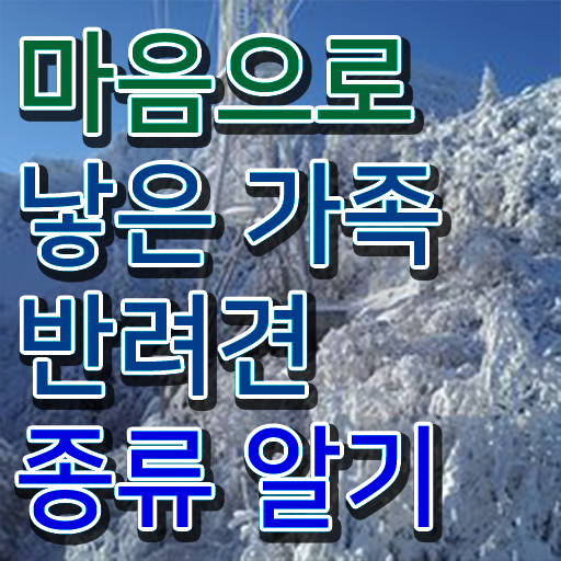  반려동물 관리사 교재 교육 정보 꾸러미 ~