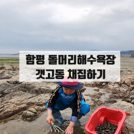 광주 근교 함평 돌머리해수욕장에서 갯고동잡기!