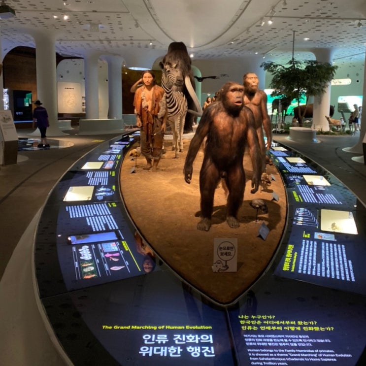  전곡선사박물관, 경기도 연천 아이와 가볼 만한 곳, 구석기 시대 박물관