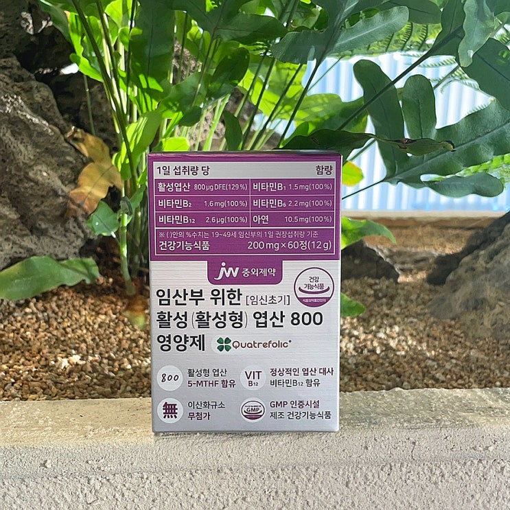  활성형 엽산 추천 임신전 임신준비 영양제