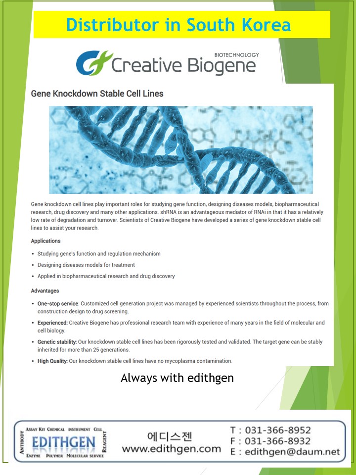 (Creative Biogene 한국공식대리점_에디스젠_ edithgen@daum.net) Gene Knocdown service 를 소개합니다