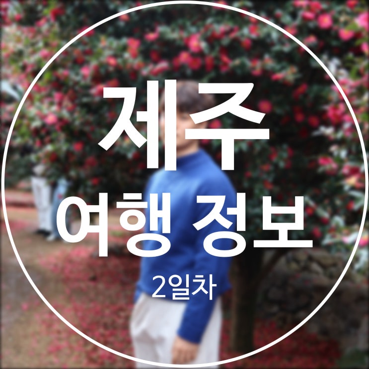  [제주] 제주도 겨울 여행 일정 공유 / 2일차