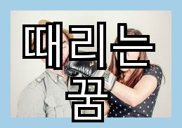 때리는 꿈 해몽 해석 가족 후배 이성을 때리는 의미
