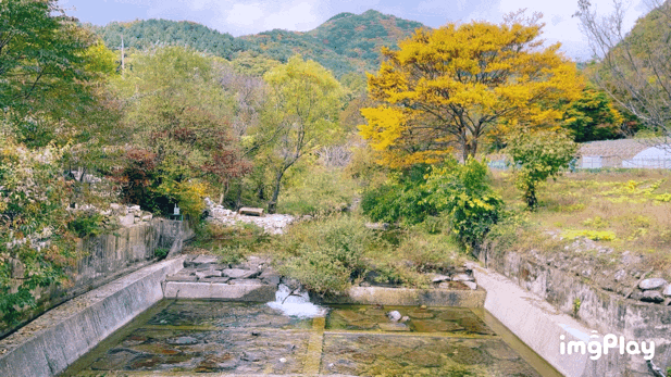  지난 가을 공기좋고 맑고 깨끗한 계곡이있는 원주 신림 성남리에서 힐링!