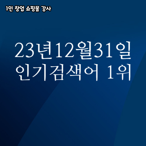  2023년 12월 31일 네이버쇼핑 분야별 인기 검색어 1위