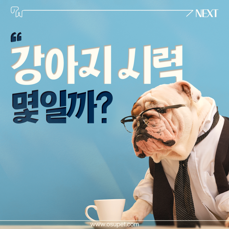  강아지 시력 몇일까? 오수펫추모공원에서 알려드려요!