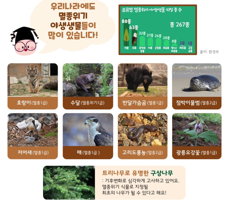 식물과 동물 생태계