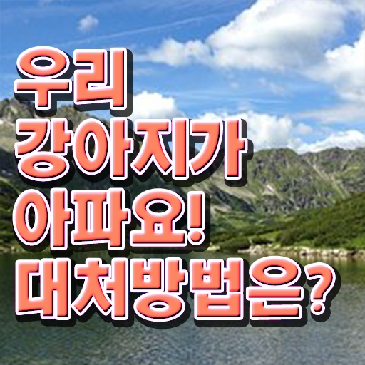  강아지 열날때 증상 대처방법 여기서 확인하세요 !!!
