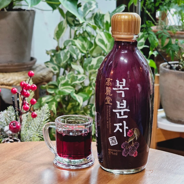  술픽 고려당 복분자술 도수 맛있게 마시는법