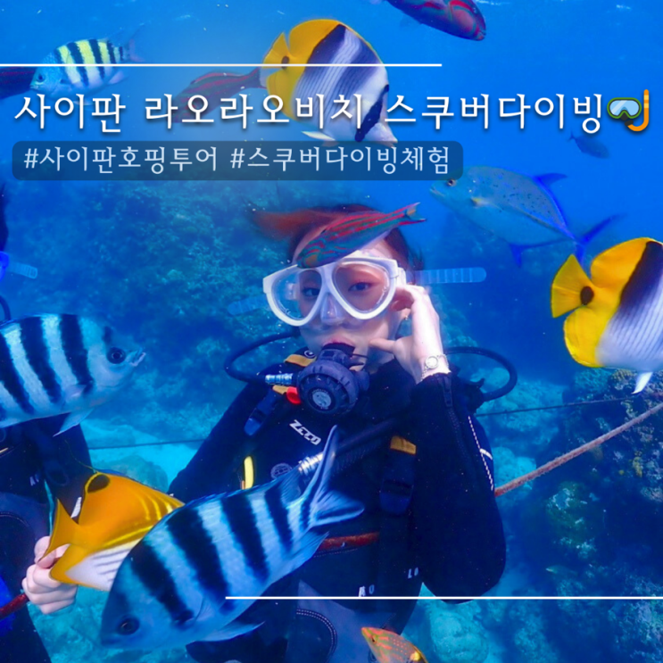  사이판 라오라오비치 스쿠버다이빙 체험 | 호핑투어의 끝판왕 
