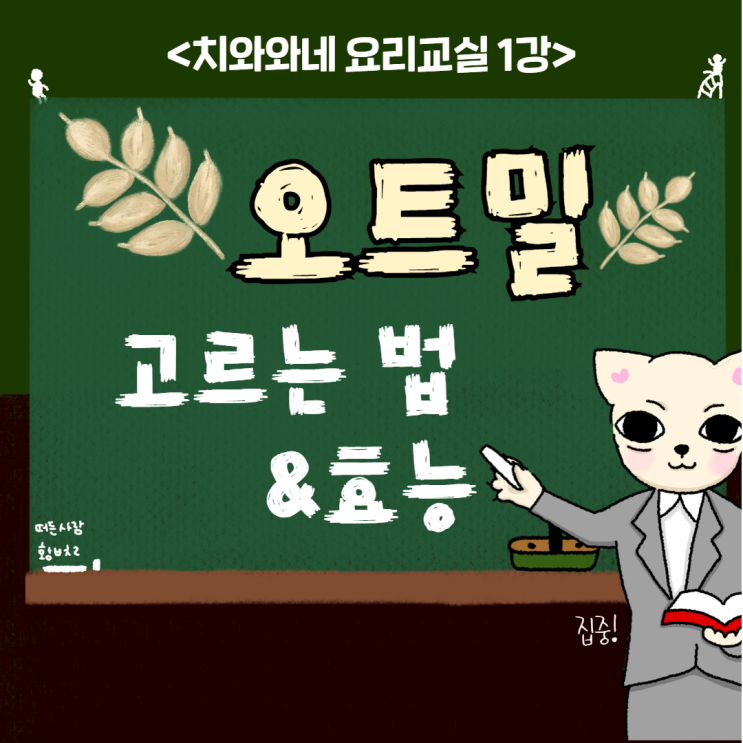  오트밀 효능과 종류 그리고 고르는 법, 차이점