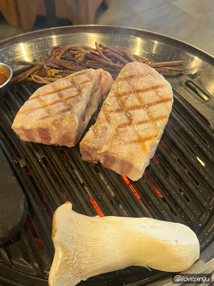  고기 직접 구워주는 속초 조양동 맛집 고반식당 속초엑스포점