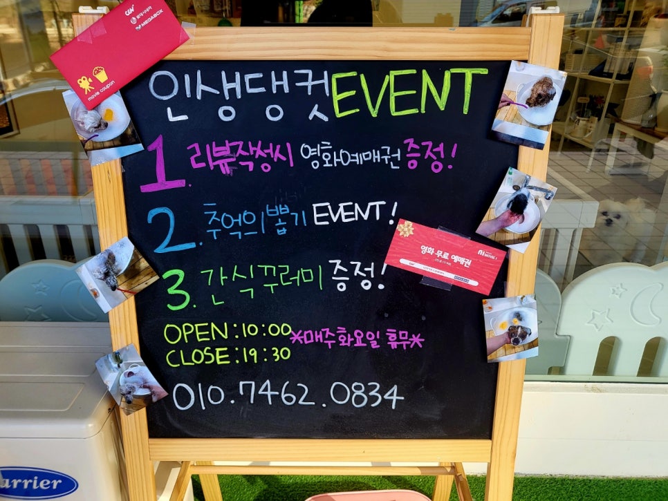 인생댕컷반려견미용실 사진 2