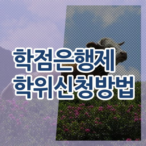  학점은행제 전문학사 플래너 알아볼까요 ~