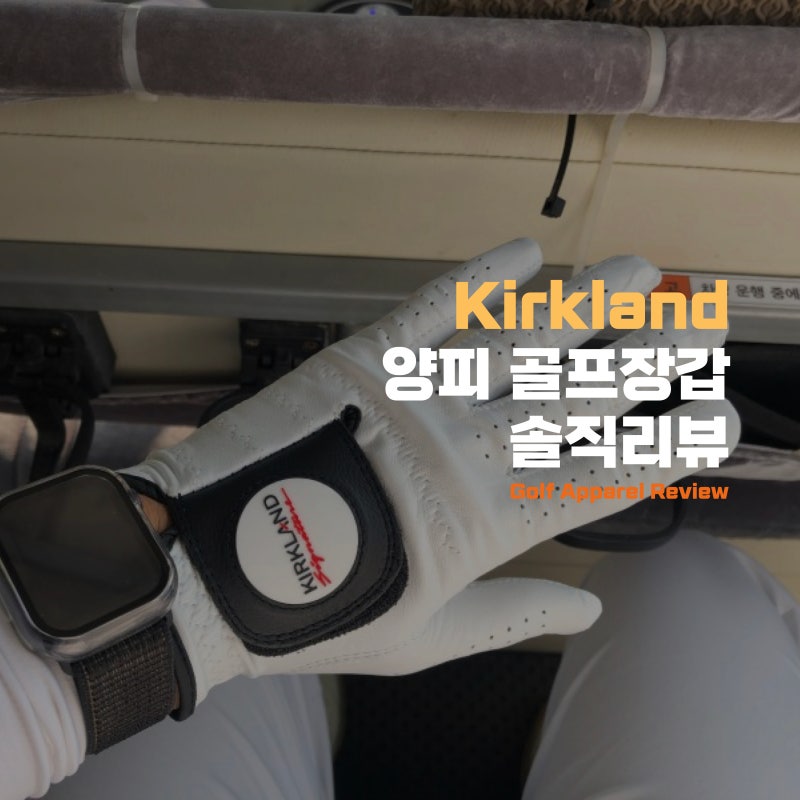 양피 골프장갑, 커클랜드 시그니처 골프장갑 솔직 리뷰(ft. 사이즈 추천, 필드 사용 후기)