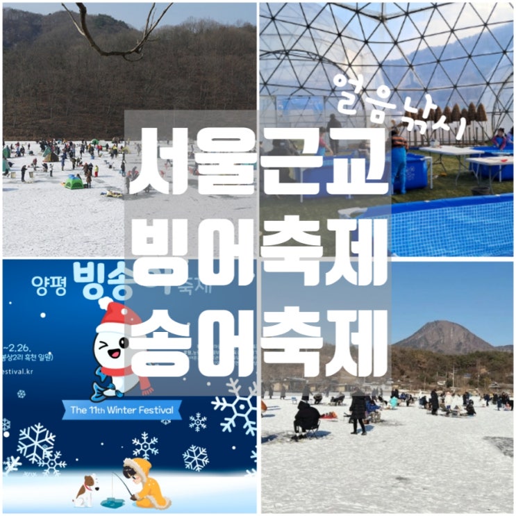 서울근교 빙어축제 BEST 모음 겨울 가봐야할 송어축제