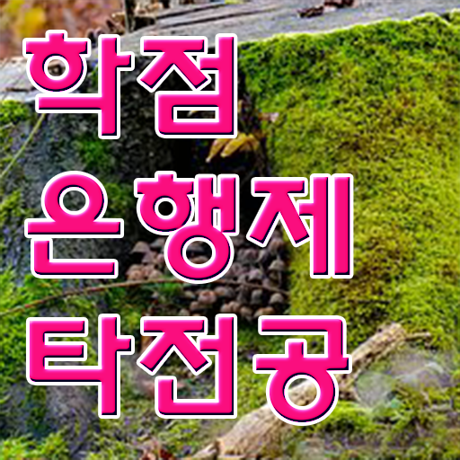  학은제 자격증 학비 완벽 정리 .