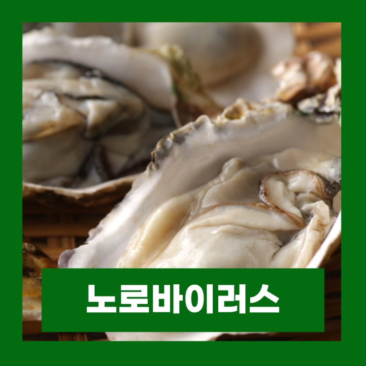  노로바이러스 증상 전염 예방 직접 걸려보니 너무 아파요