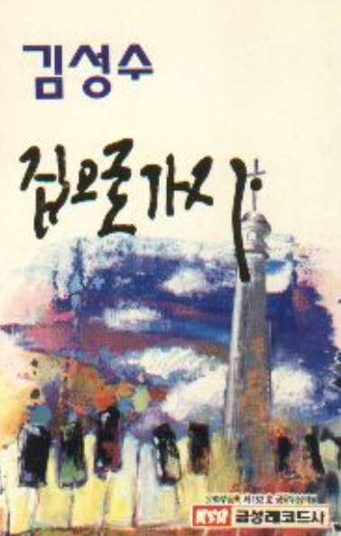  집으로 가자 - 김성수