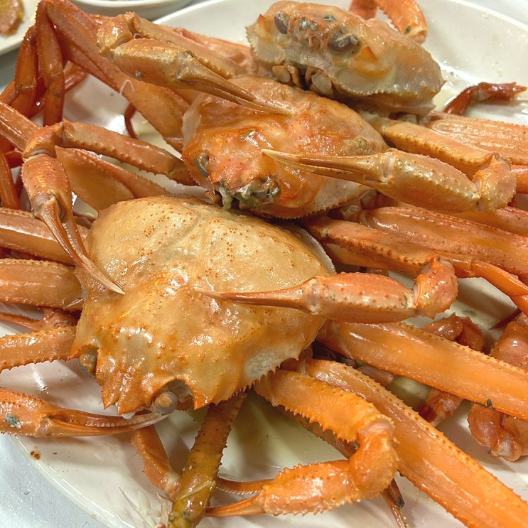 울산북구맛집 울산홍게무한리필 가성비좋고 속이꽉찬 들어오시게 울산북구맛집 울산홍게무한리필 가성비좋고 속이꽉찬 들어오시게