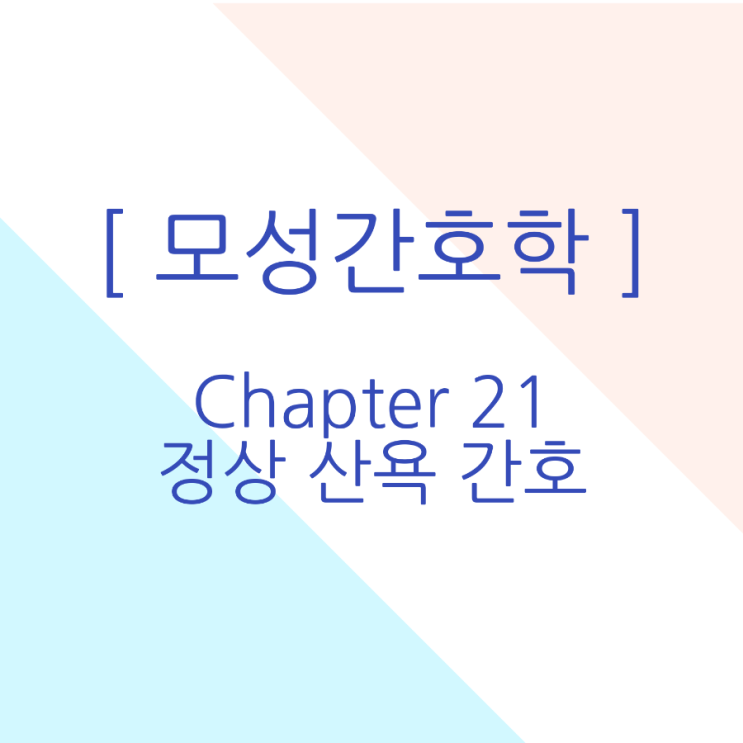  [모성간호학/국시대비] 정상 산욕 간호 요약정리 pdf 무료공유