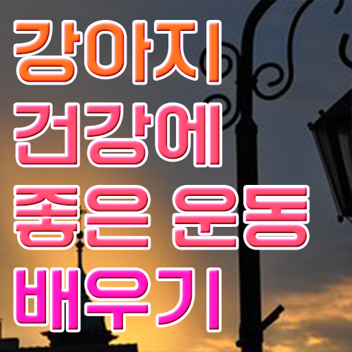  반려견운동지도사 자격증 교육 정리해봤어요 ?