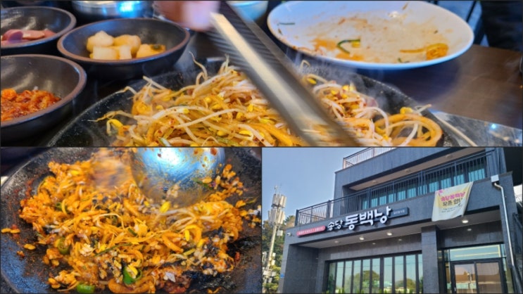  제주 송당 맛집 동백낭식당 흑돼지 두루치기 내돈내산