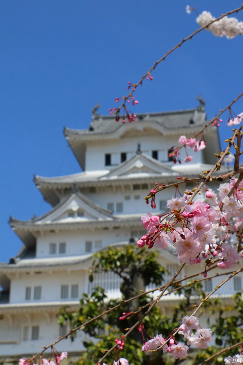 일본 히메지성 여행 벚꽃 코코엔 코인락커 : 네이버 블로그