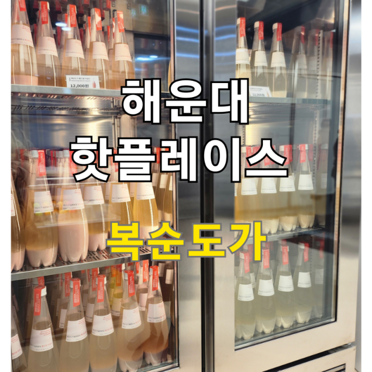  [일상이야기] 복순도가 해운대 손막걸리 시음
