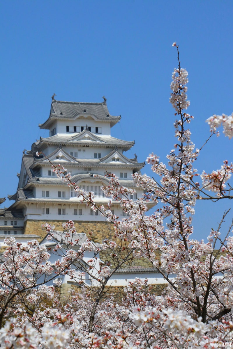 일본 히메지성 여행 벚꽃 코코엔 코인락커 : 네이버 블로그