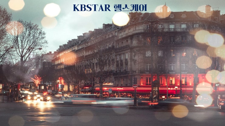  KBSTAR 헬스케어/253280