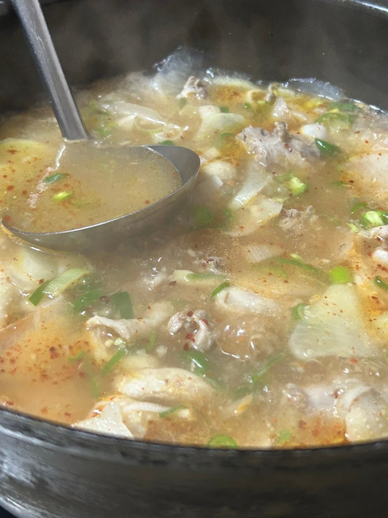 진주) 진성 진주식 닭한마리? 닭무국 파는 월산식당